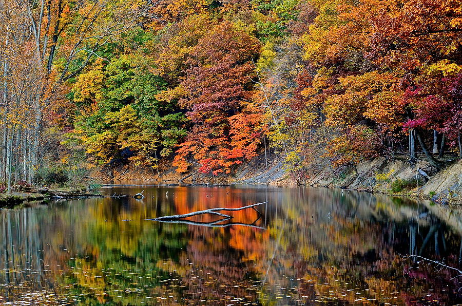 Autumn Colors Reflect Photograph by Frozen in Time Fine Art Photography