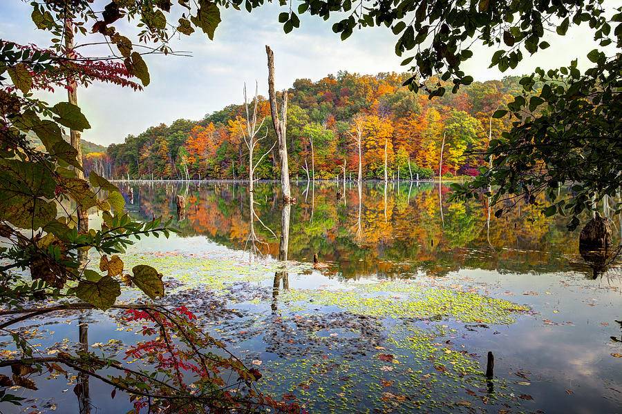 Autumn Colors through the trees on Monksville reservoir - Long Pond Ironworks State Park Photograph by Gary Heller