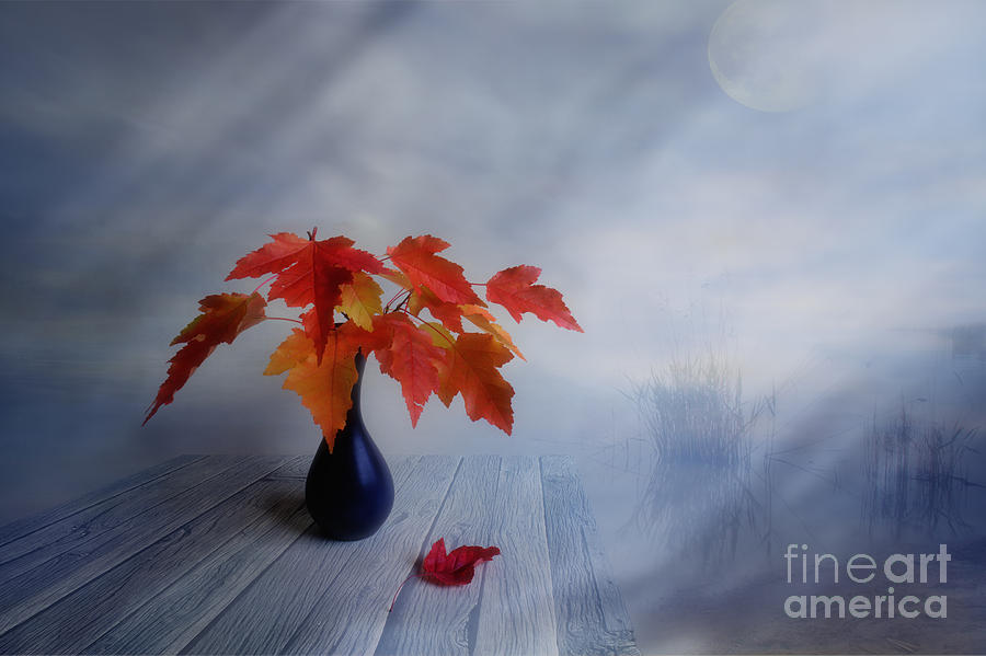 Fall Photograph - Autumn colors by Veikko Suikkanen