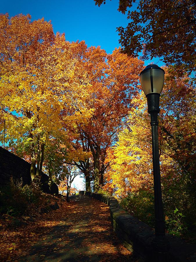 Autumn Colors Photograph by Ydania Ogando