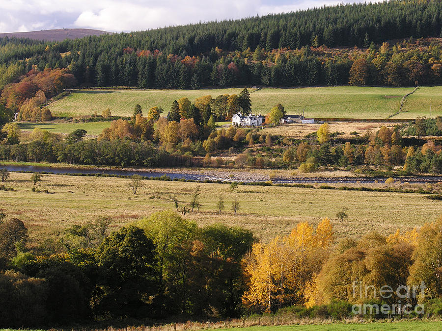 Autumn colour on Speyside  Photograph by Phil Banks