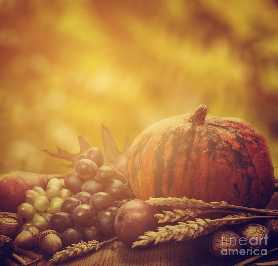 Autumn Fruit Still life Photograph by Jelena Jovanovic