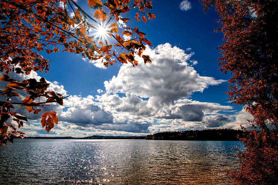 Fall Photograph - Autumn  Confidential  by Bob Orsillo