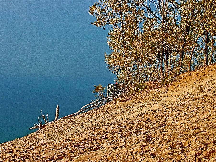 Autumn Cottonwoods on Dunes in Sleeping Bear Dunes National Lakeshore-Michigan   Photograph by Ruth Hager