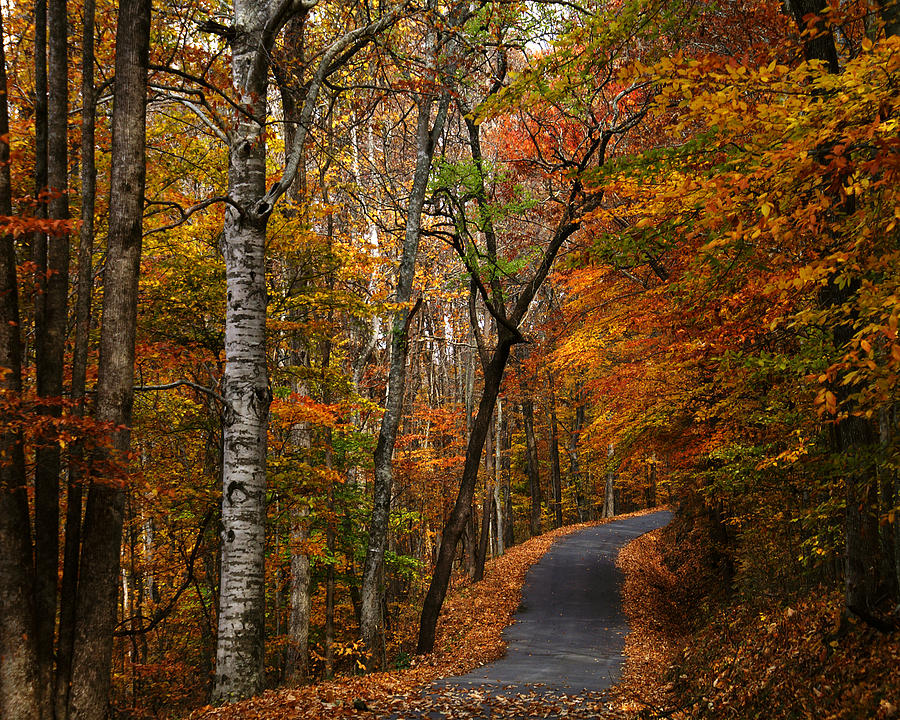 Autumn Country Backroad Photograph by TnBackroadsPhotos 