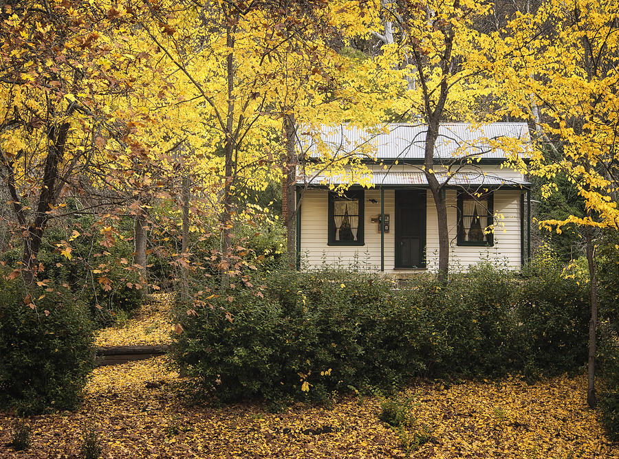 Fall Photograph - Autumn Country Home by Kim Andelkovic