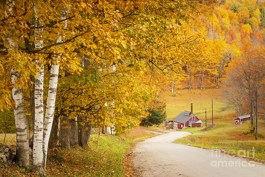Autumn Country Lane Photograph by Brian Jannsen