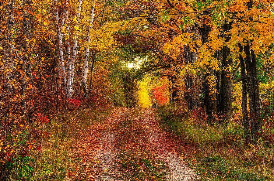 Autumn Country Lane - Horizontal Photograph by Cory Christensen