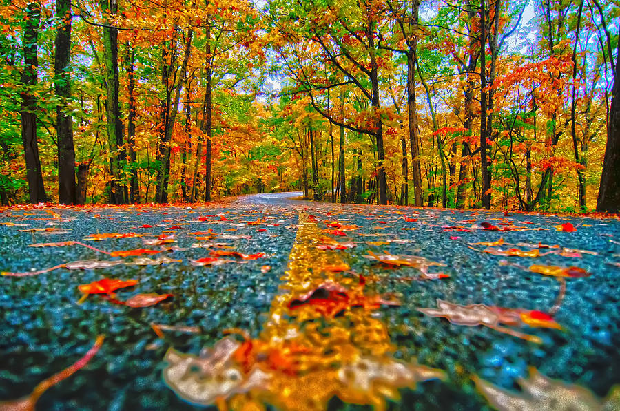 Autumn Country Road Photograph by Alex Grichenko