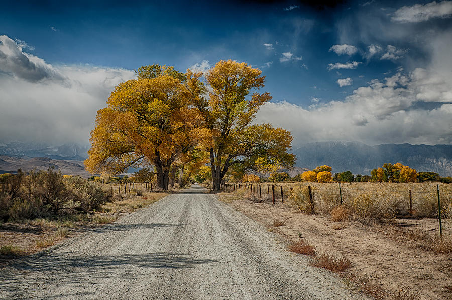 Autumn Country Road Photograph by Cat Connor