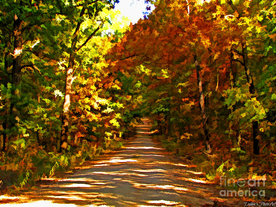 Autumn country road - Digital Paint Photograph by Debbie Portwood