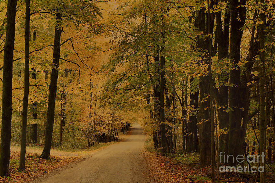 Autumn Country Road Photograph by Deborah Benoit