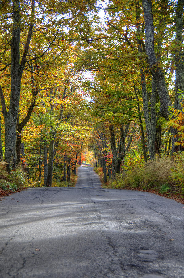 Autumn Country Road Photograph by Donna Doherty
