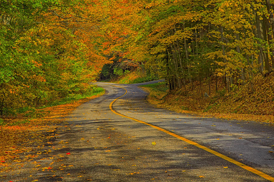 Autumn Country Road Photograph by Gary Hall