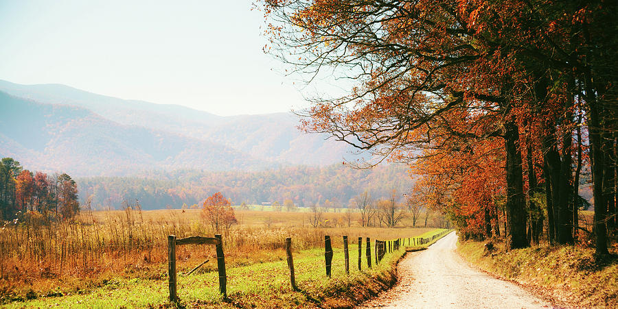 Autumn Country Road