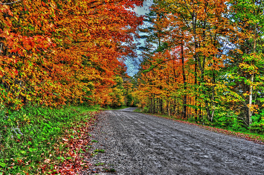 Autumn Country Road Photograph by Jim Boardman