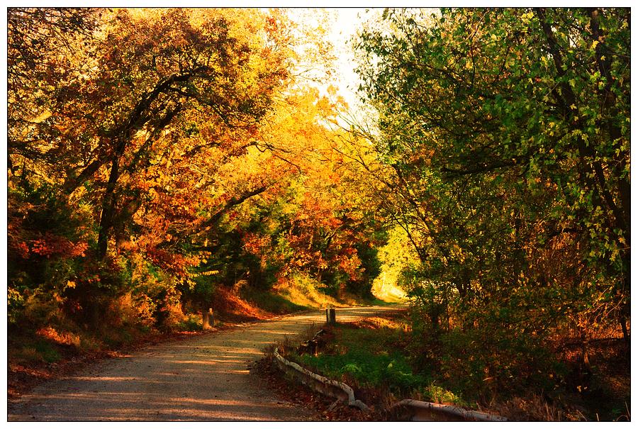 Autumn Country Road Photograph by Karen McKenzie McAdoo