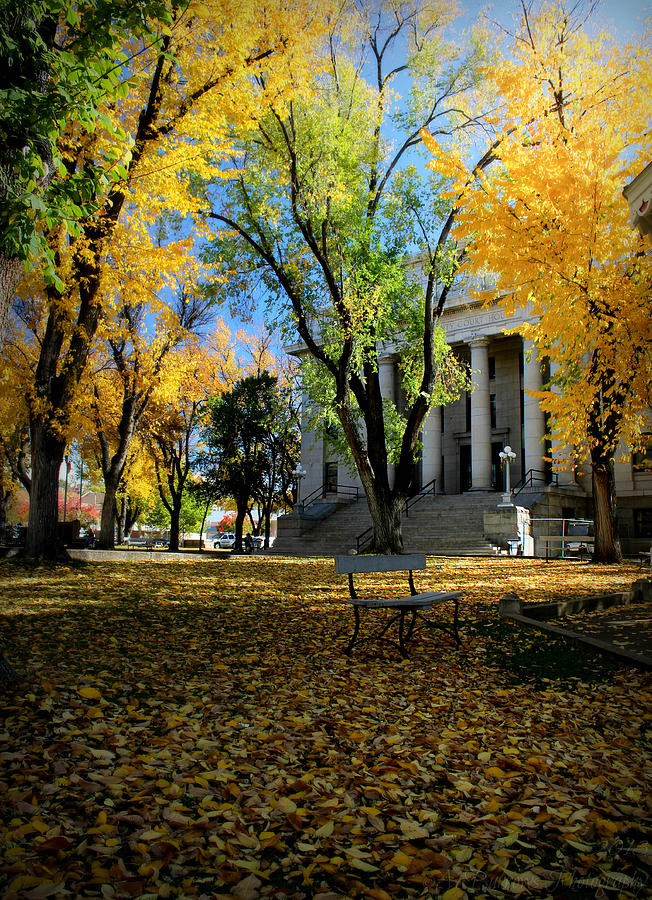Autumn Courthouse Lawn Photograph by Aaron Burrows
