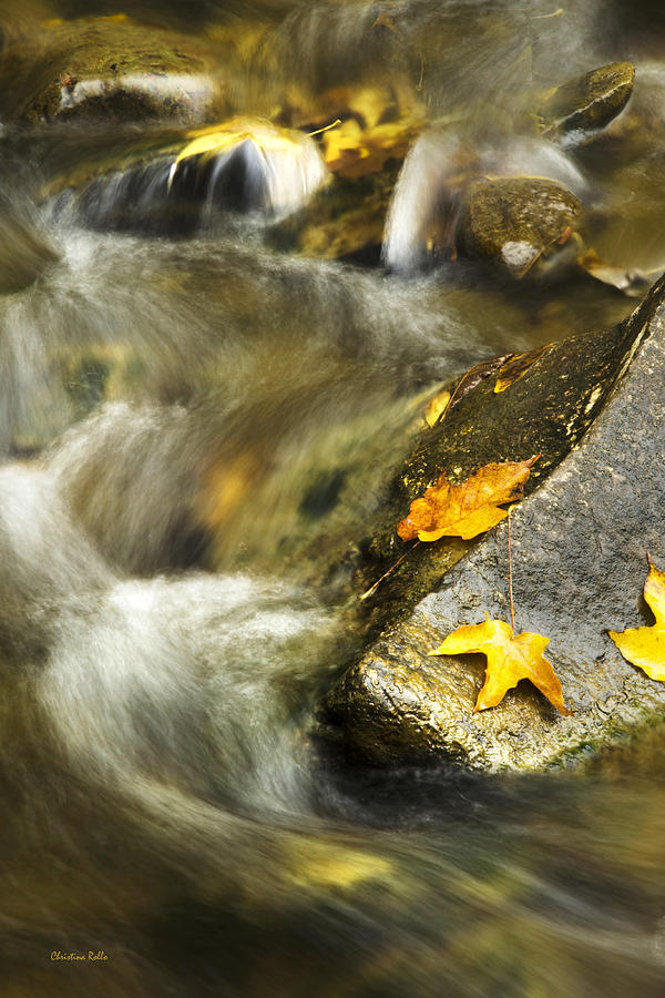 Autumn Creek Photograph by Christina Rollo