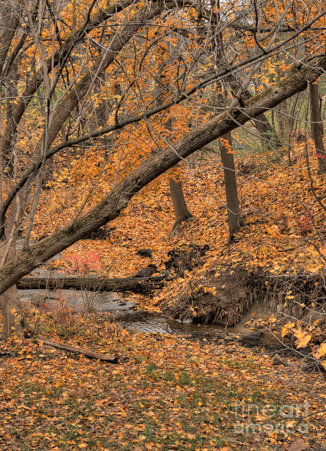 Autumn Creek Photograph by Deborah Smolinske