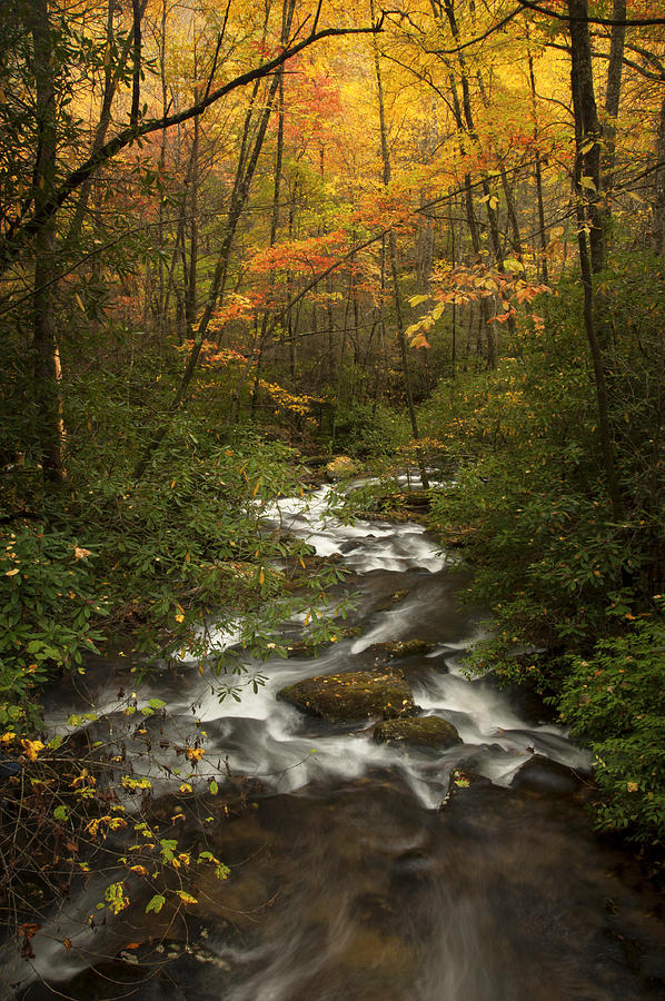 Autumn Creek Photograph