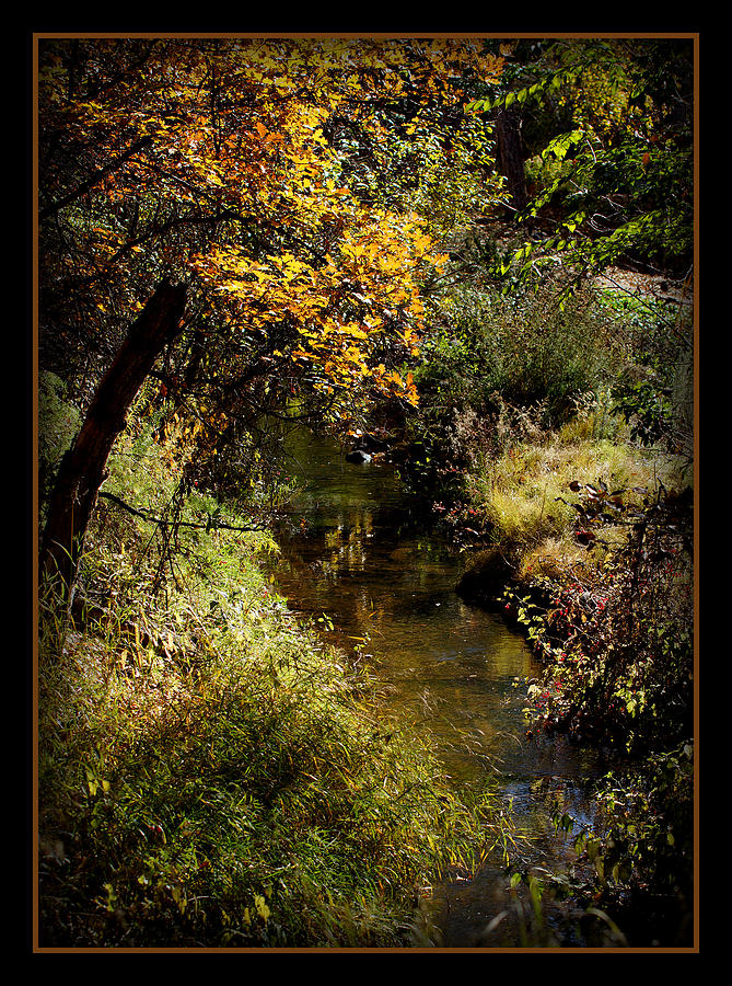 Autumn Creek Photograph by Ernest Echols