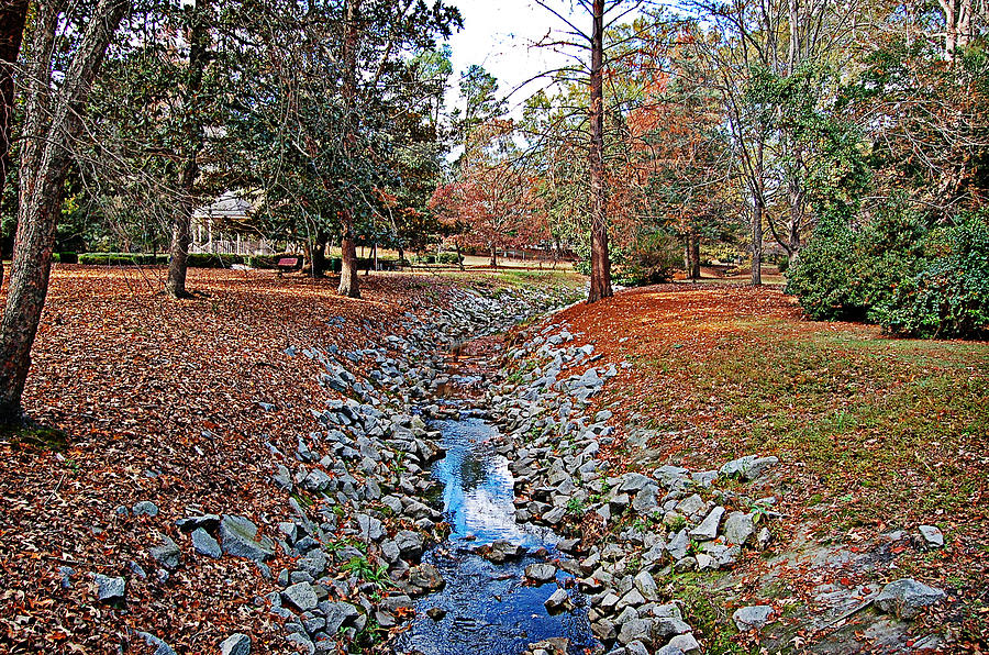 Autumn Creek Photograph by Linda Brown