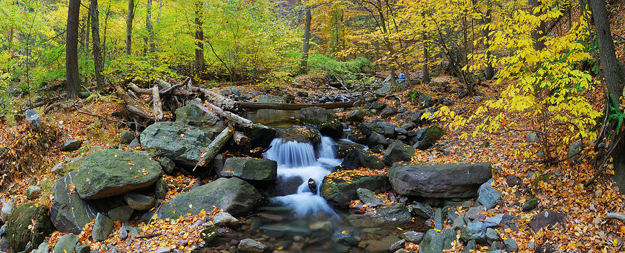 Autumn creek panorama with yellow maple trees Photograph by Songquan Deng