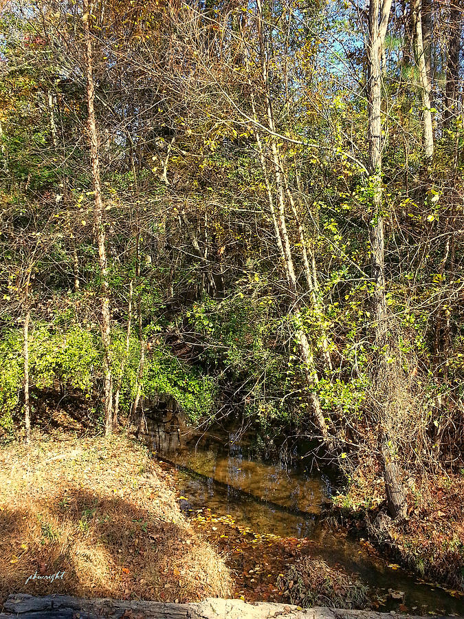 Autumn Creek Photograph by Paulette B Wright