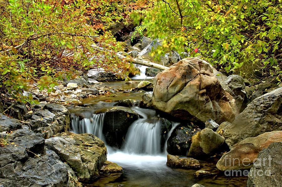Autumn Creek Photograph by Roxie Crouch