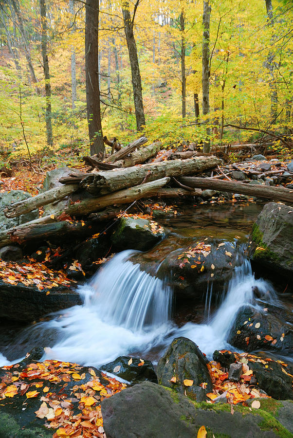 Autumn creek Photograph by Songquan Deng