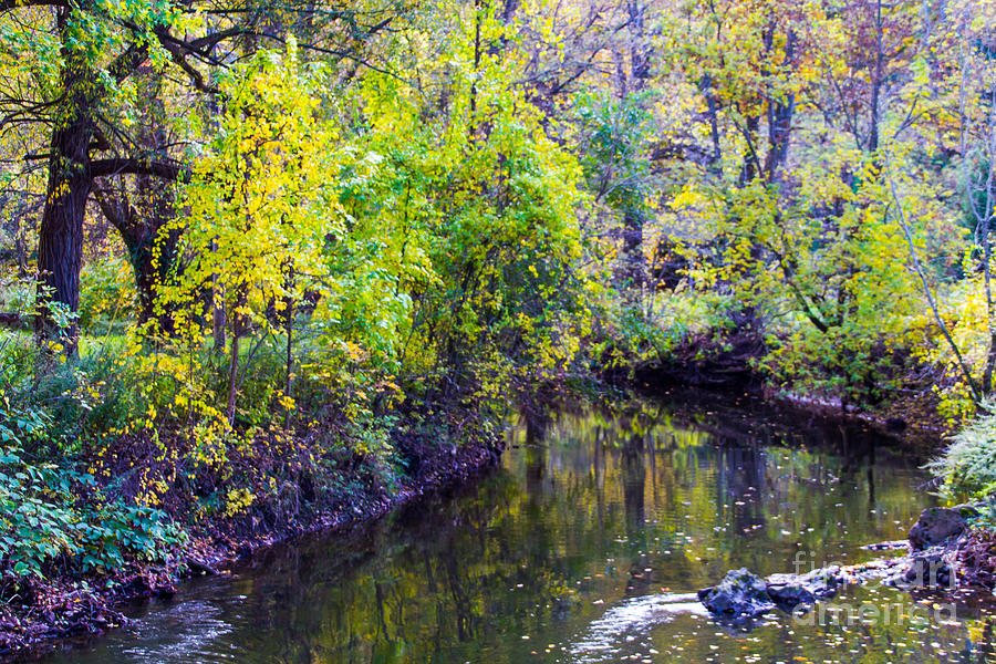 Autumn Creek Photograph by William Norton