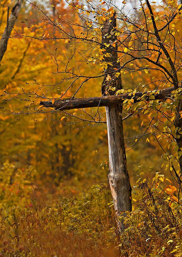 Autumn Cross Photograph by John Vose