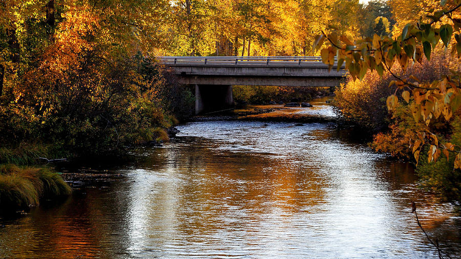 Autumn Crossing Photograph