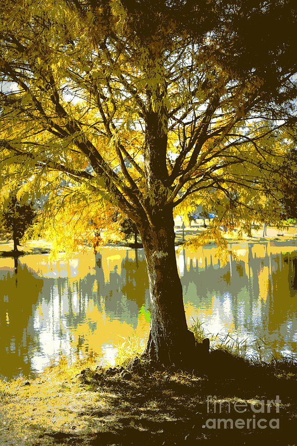 Autumn Cypress Reflection Photograph by Carol Groenen