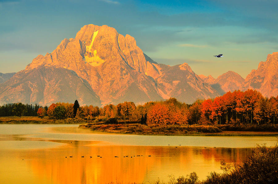Autumn Dawn at Oxbow Bend Photograph by Greg Norrell