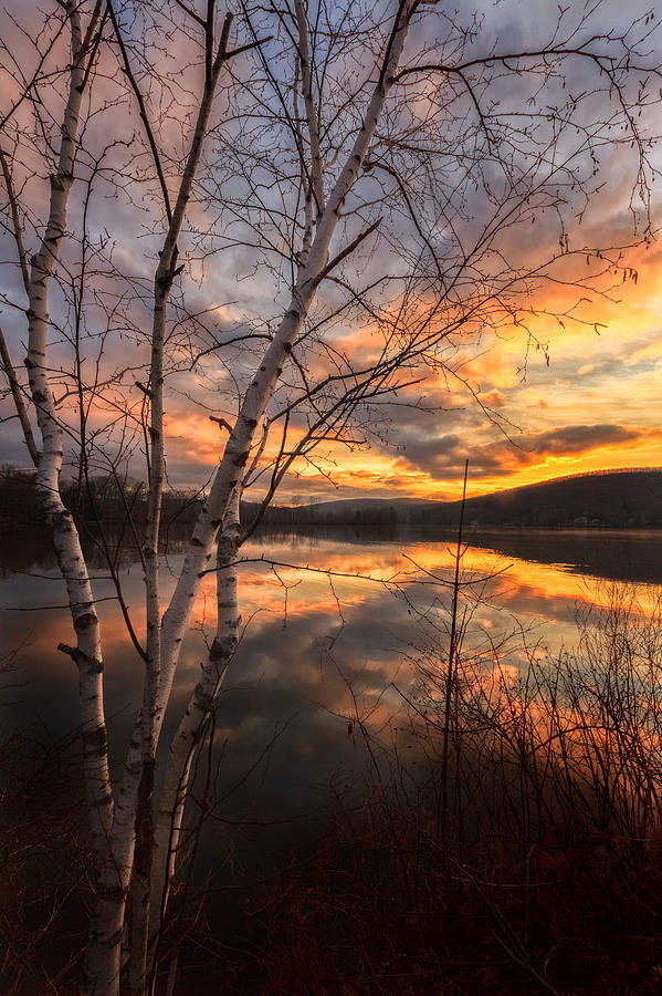 Autumn Dawn Photograph by Bill Wakeley