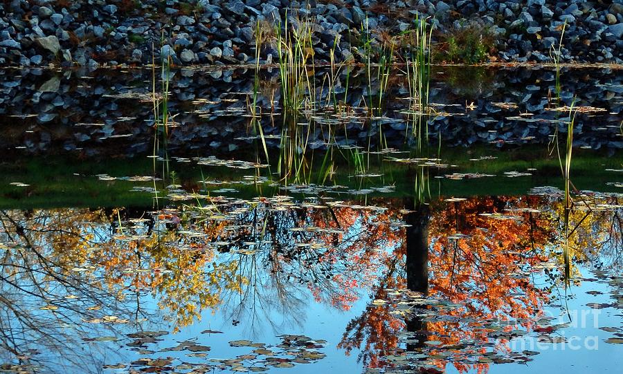 Autumn Days Photograph by Marcia Lee Jones