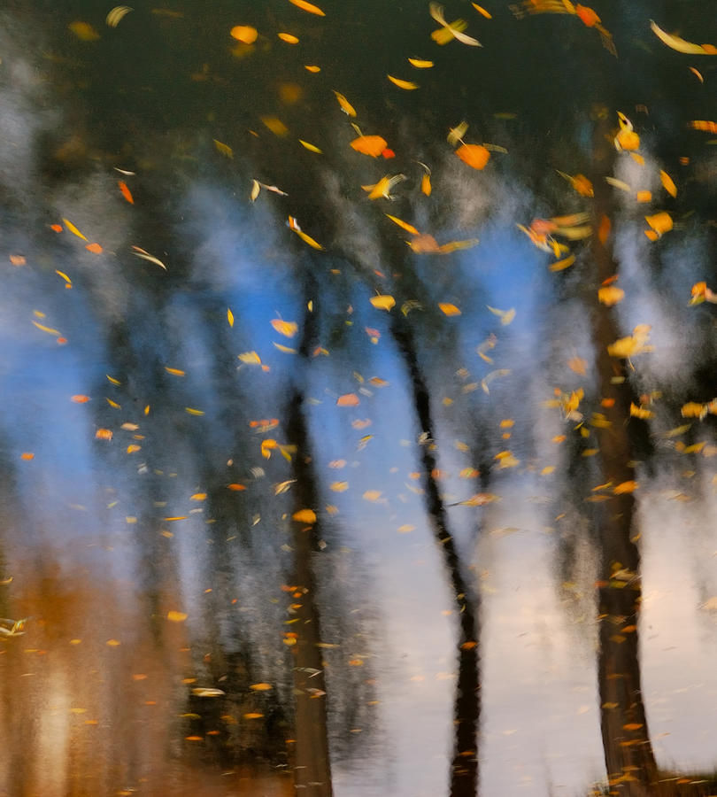 Nature Photograph - Autumn Daze - Abstract Reflection by Steven Milner