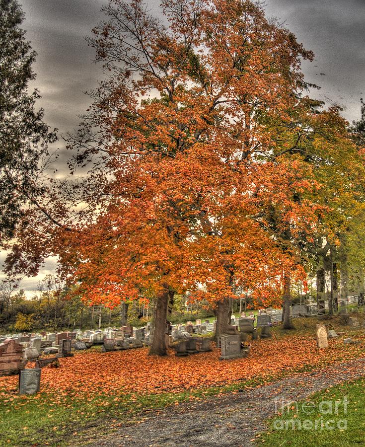 Autumn Delight Photograph by Jim Lepard