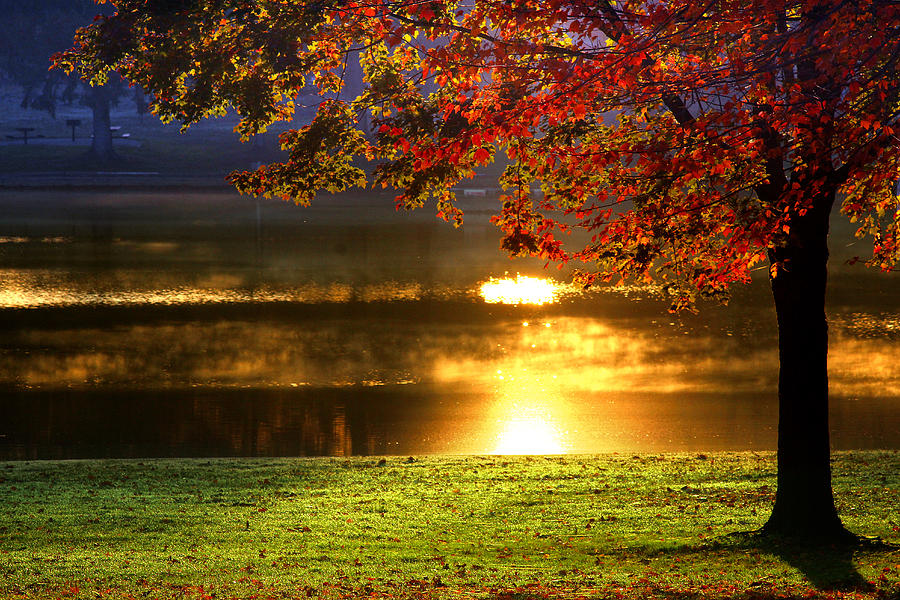 Autumn Delight Photograph by Rob Blair