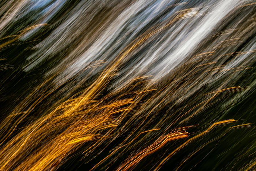 Abstract Photograph - Autumn Desire by Steve Harrington