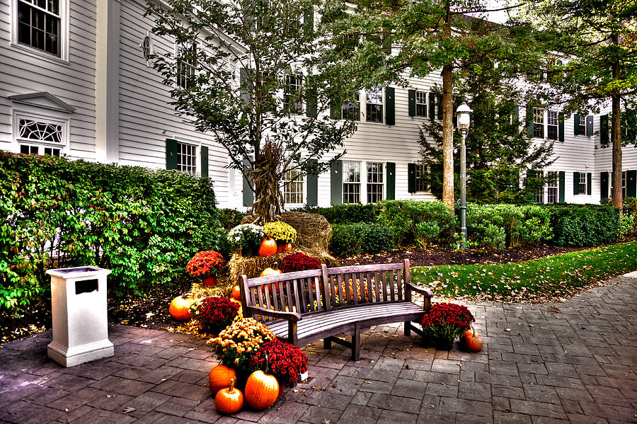 Autumn Display at the Sagamore Resort Photograph by David Patterson