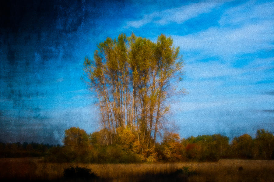 Autumn Dream Photograph by Larry Goss