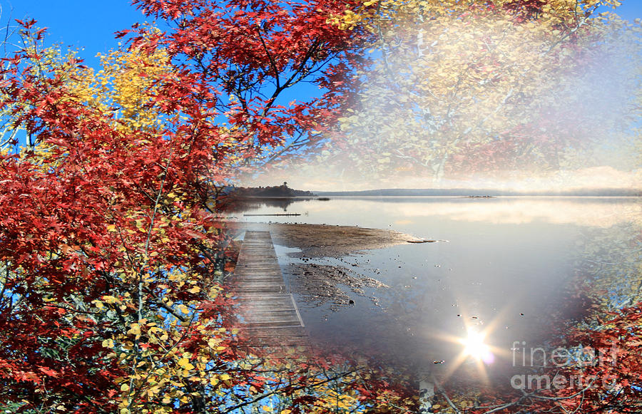 Autumn Dreaming Photograph by Cathy Beharriell