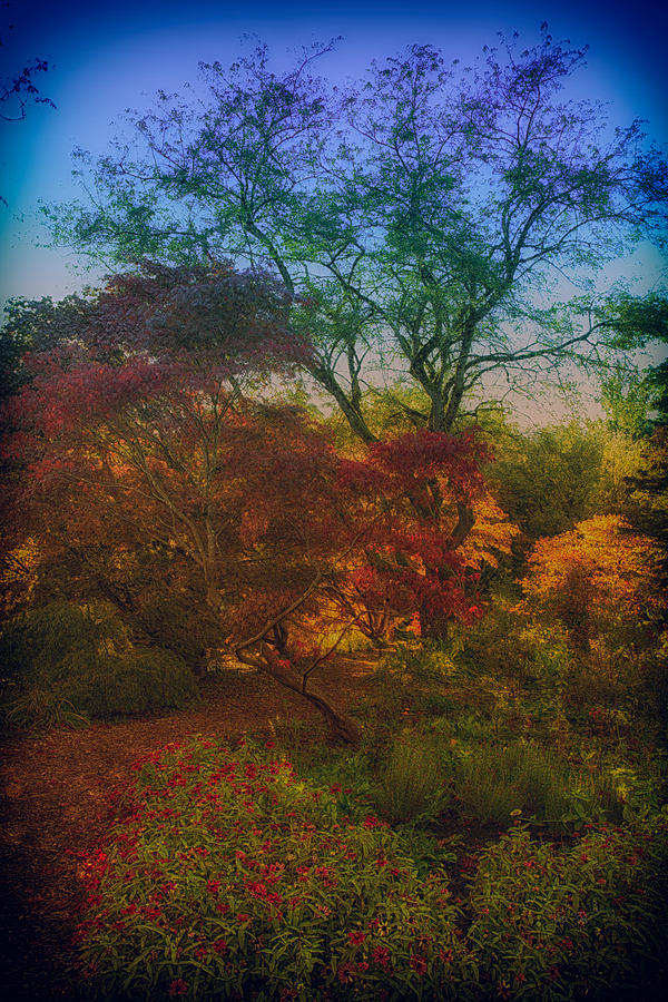 Nature Photograph - Autumn dreams by Eti Reid