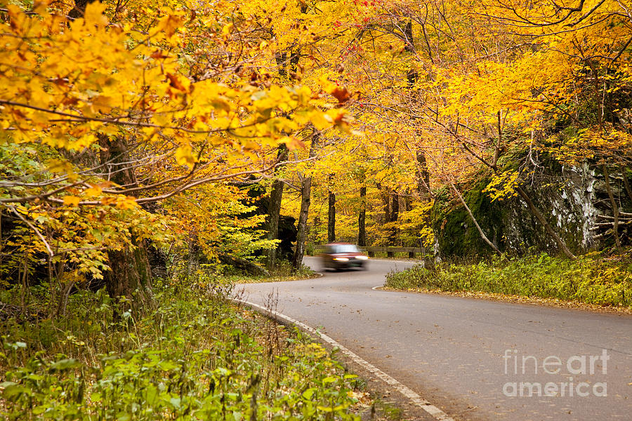 Autumn Drive Photograph by Brian Jannsen