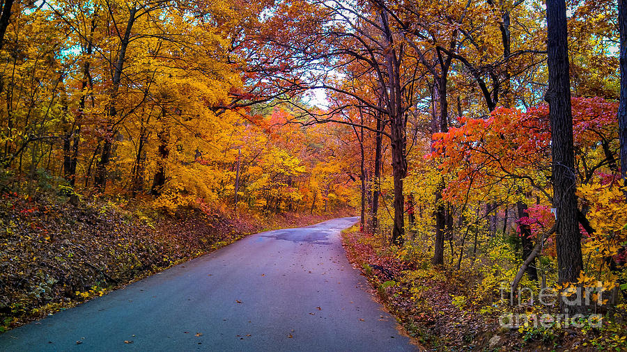 Autumn Drive  Photograph by Peggy Franz