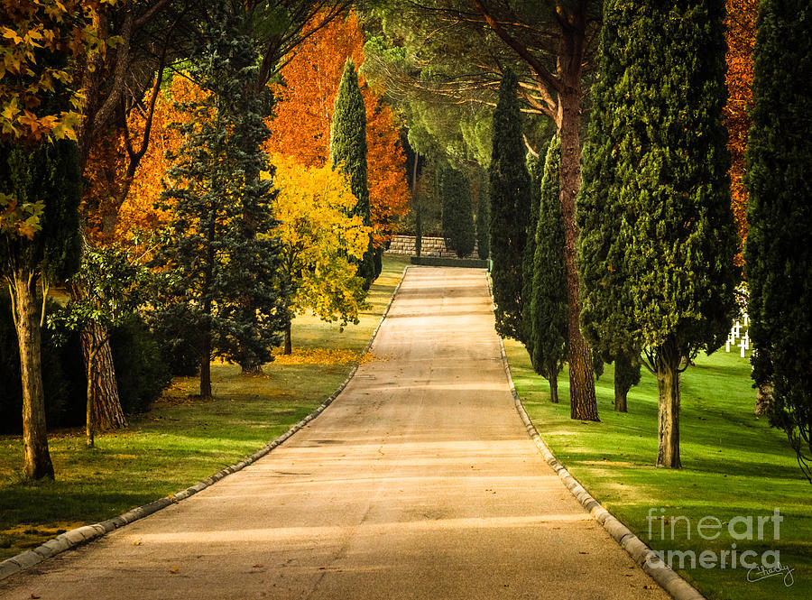 Fall Photograph - Autumn Drive by Prints of Italy