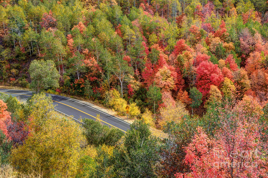 Autumn Drive through East Canyon - Utah Photograph by Gary Whitton